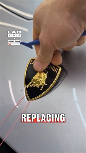 Ripping the Lamborghini emblem off my car 🚗 | LADbible