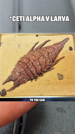 Alien Larva Burrowing Into My Composter?! (My Kid Found It)