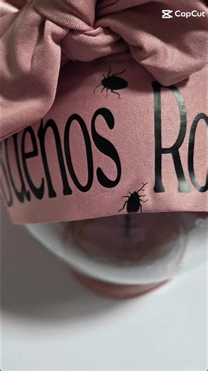personalized bonnet 🪳Buenos Roaches 🪳 Dream Jeannie Creations Jeannette Jeannie Feliciano #trend #crafting #customizedgifts #custommade #personalizedgifts