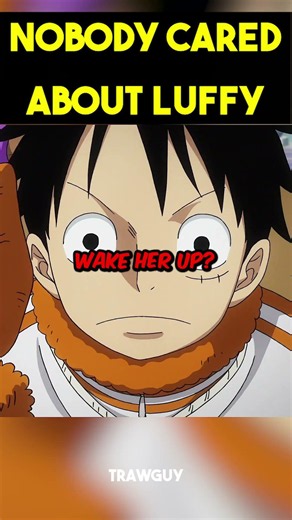 Nobody cared about Luffy 🤣☠️