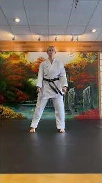 Basic Isshinryu Punches