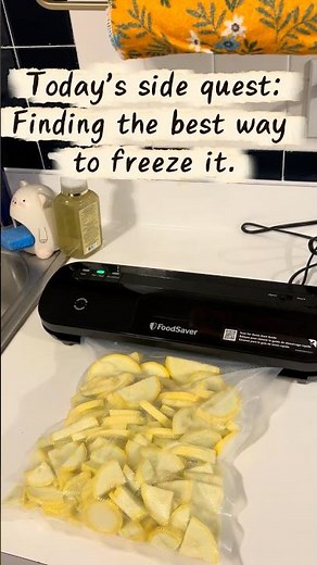 Testing 3 Ways to Freeze Garden Squash