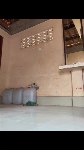 Plex Partner Payment Insights