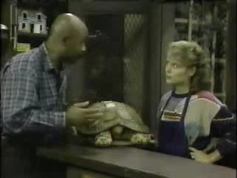 Sesame Street - Episode 2622 (Street Scenes) 1/2