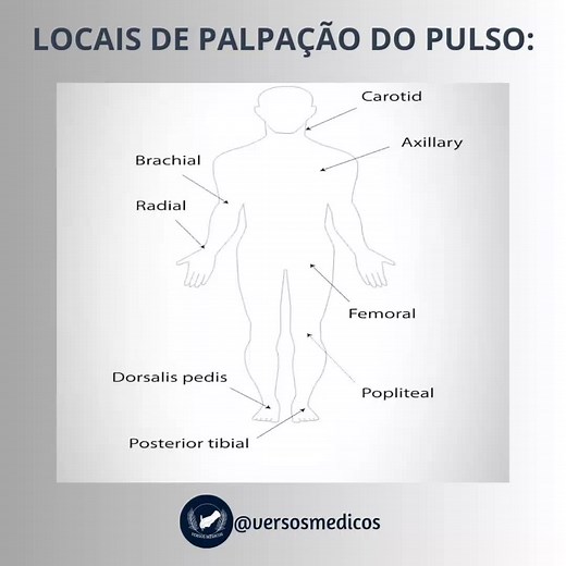 É recomendável a palpação dos pulsos superiores, o radial e o braquial, e dos inferiores pedioso, poplíteo e tibial posterior. Outros pulsos são palpáveis e aconselháveis para palpação em casos específicos, como o femural em casos de emergência. #medicina #anatomy #medstudent #pulsos #tiktok #saude #angola🇦🇴portugal🇵🇹brasil🇧🇷