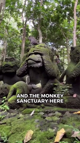 Monkey Forest in Ubud Bali #shorts