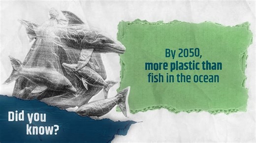 Plastic Pollution Infographic Animation