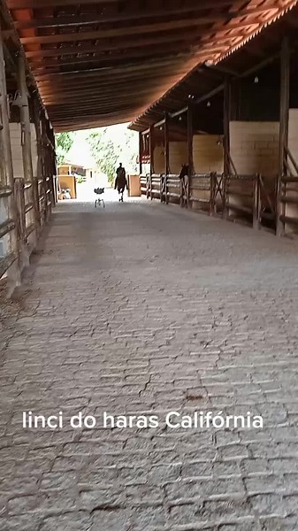 Os vídeos de Leomarks (@leomarksferreiras) com som original - Leomarks