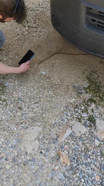 Observing a Millipede in Outdoors