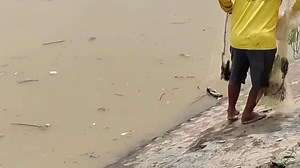 Nombak ikan vs jala ikan | Bendung gerak Bojonegoro