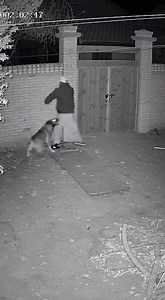 2.7M views · 24K reactions | Security Cam Captures Guard Dog Taking...