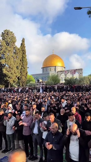 Muslim Women's Council on Reels