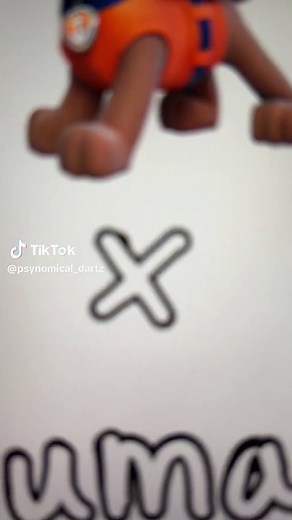 Zuma Paw Patrol Human Version: Gender Revealed and Fun Facts