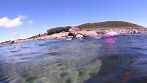 Are the Isles of Scilly the best Wild Swimming destination on earth? Sure feels like it; seals following you for hours, Caribbean viz, flour white sand beaches. I’ve never been so gutted to leave somewhere. Huge thanks to our welcoming island friends, and to Scilly Seal Snorkelling Soundtrack - Etherwood | Steve Backshall