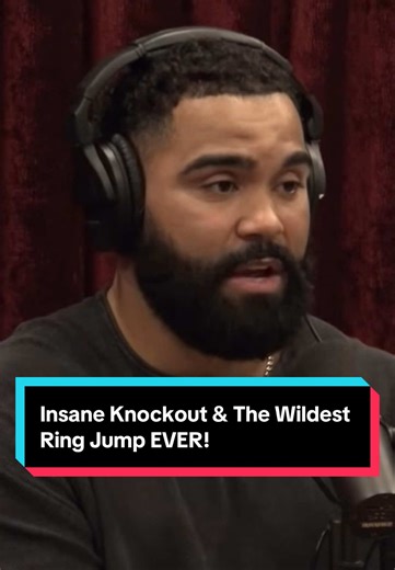Insane Knockout Highlights from Joe Rogan's Podcast