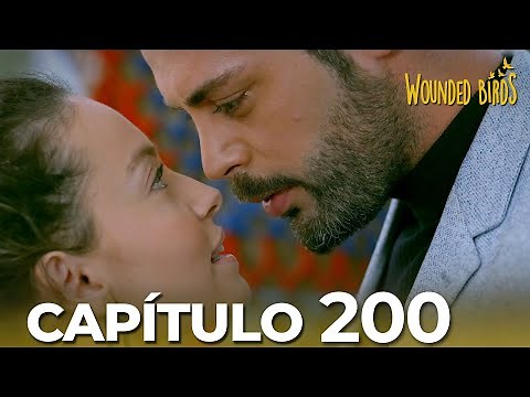 Omer Sueños Robados | Capítulo 200