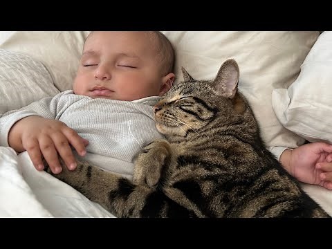 Chase’s Best Reactions (Part One)