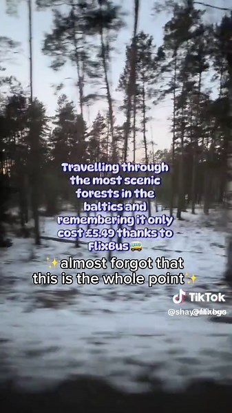 Breathtaking Views: A Solo Travel Experience