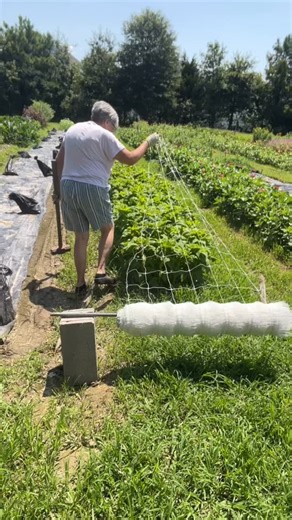 Comment SALES for my last free class. Monday 8pm🌸 “Where to Sell Cut Flowers: Finding the Best Markets for YOUR Flower Farm!”🌻 In this live masterclass, I’ll walk you through: 1) How extremely vast the US cut-flower market really is - it’s pretty amazing, there’s so much potential! 2) I’ll introduce you to over 14 different sales channels, a combination of retail and wholesale options. I think you’ll be surprised by many of these! 3) I’ll share all the details about these channels - not just p