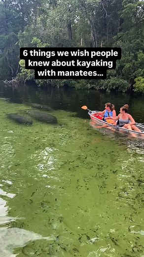 10K views · 45K reactions | Here are some tips for ethical kayaking...