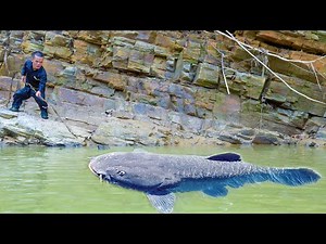 Dwarf Family Makes Giant Catfish Fishing Rod in the Wild - Primitive Life