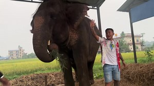 Football Khelera Kamako Paisa Le Chai Kineko Haina Hai Feri Jhukkinu Hola 🥴 For Full Vlog Click 👇🏿👇🏿👇🏿 https://youtu.be/RKi_r6peb5c?si=zocMt9EhkirL-IAd | Dona Thapa