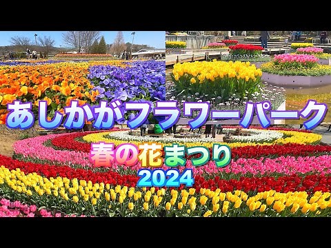 【あしかがフラワーパーク】【春の花まつり2024】【栃木県 足利市】／4K／Ashikaga Flower Park／Spring Flower Festival／Tulip
