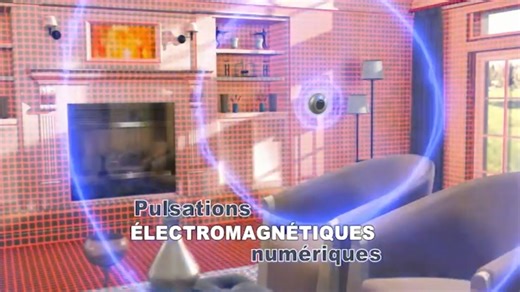 989 reactions · 54 shares | PEST REJECT MAX Petits rongeurs et...