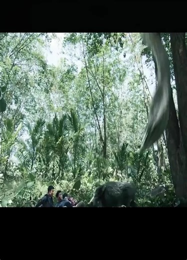 #映画解説#美しい映画