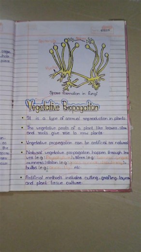 Class 10th Biology chapter 3 How Do Organisms Reproduce Full Notes #biology class #class notes