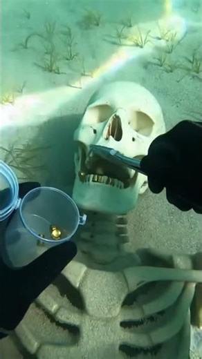 I Found Gold Hidden Inside a Skeleton’s Mouth