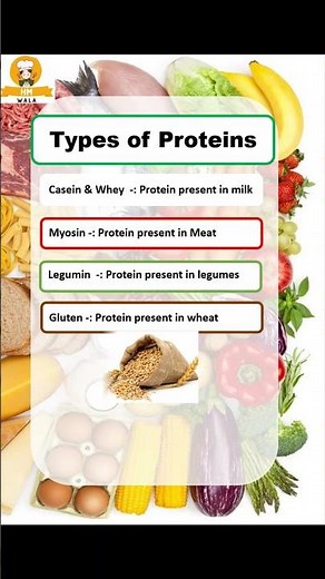 Types Of Protein | World Of Proteins