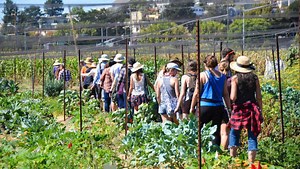 Building Equitable and Inclusive Food Systems at UC Berkeley