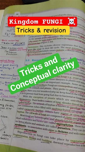 Kingdom FUNGI: all tricks and revision in 8 minutes: Full on clarity and confidence #revision