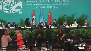 Tackling the climate crisis