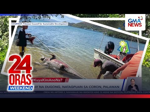 Patay na dugong, natagpuan sa Coron, Palawan | 24 Oras Weekend