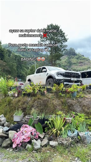 Alaga sa Ford: Pagsusuri ng Raptor at Ranger