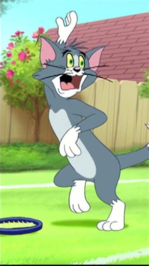 ¡Juego, set y partido! 🎾 | Tom y Jerry | WB Kids España
