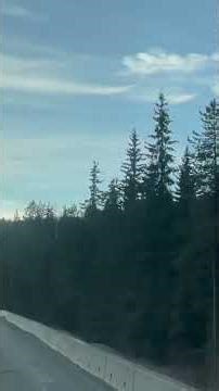 Snowy Mountains & Peaceful Winter Views ❄️🏔️ | Relaxing Nature Video