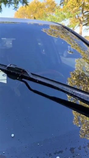 rubber wipers! Wipe evenly without scratching glass!#BonelessWipers #GlassProtection #fyp #fypシ #car