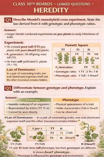 CLASS 10TH BOARDS 2026 🔥 HEREDITY MOST EXPECTED 5 MARKS QUESTIONS WITH DIAGRAM | CBSE SCIENCE