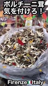 Don't be fooled by dried porcini mushrooms! They're a great Italian souvenir, but... Be careful! ...
