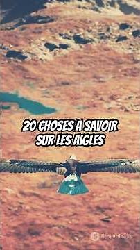 20 choses à savoir sur les aigles