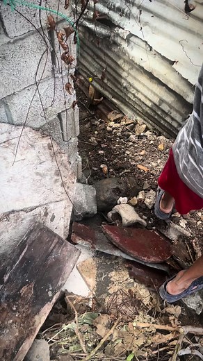 Para los que preguntan qué pasó con la casa don agrio