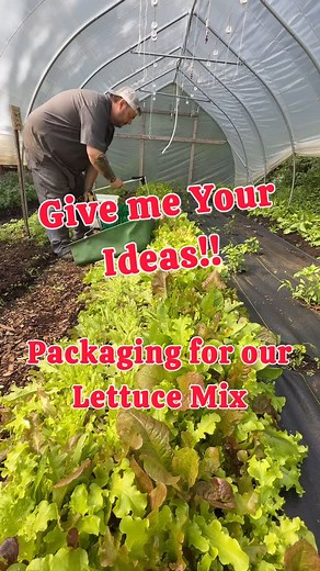 Rootbound Farms | We use plastic bags to keep our cut lettuce mix fresh for the customers. 🥬We get many keyboard conservationists that claim there are... | Instagram
