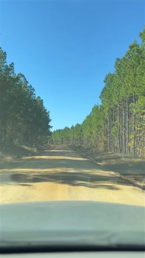 Trail 86 headed to Forked Mountain | Arkansas Outdoors