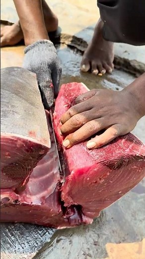 Hyderabad gapi sir ki pampincha #fishing #fish #ytshorts #trending #food #tunafish #seafood #tuna