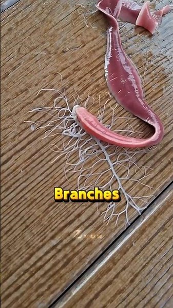 This Worm Has an Alien Weapon