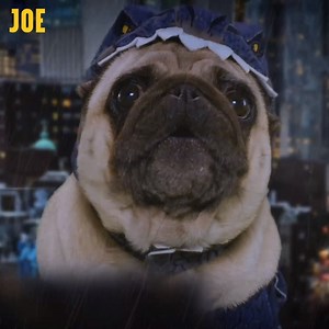 Godzilla, but with dogs = Pugzilla: King of the Dogsters 🐶 | JOE.co.uk