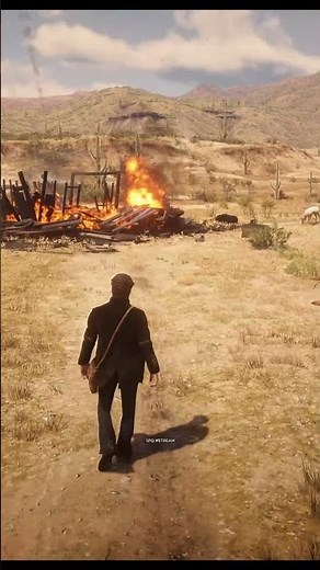 Explosive Slug Pamphlet Location In Rdr2 #shorts #spdxstreamgaming #rdr2